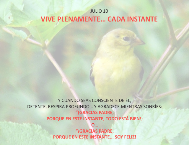 Vive plenamente... cada instante